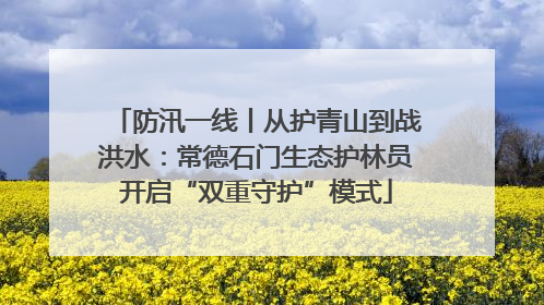 防汛一线丨从护青山到战洪水：常德石门生态护林员开启“双重守护”模式