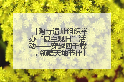 陶寺遗址组织举办“夏至观日”活动——穿越四千载，领略天地节律