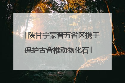 陕甘宁蒙晋五省区携手保护古脊椎动物化石