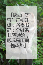 陕西“护鸟”行动升级，省委书记：全链条排查整治，形成高压震慑态势