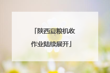 陕西夏粮机收作业陆续展开