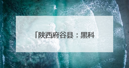 陕西府谷县：黑科技“水利全开” 智慧脑“精准防灾”