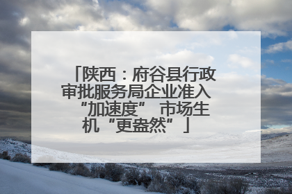 陕西：府谷县行政审批服务局企业准入“加速度” 市场生机“更盎然”