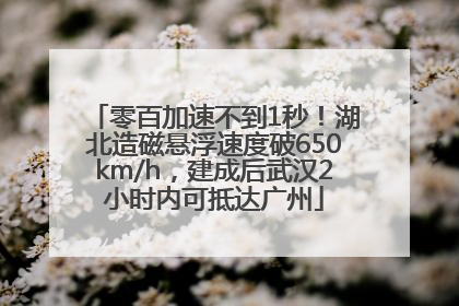 零百加速不到1秒！湖北造磁悬浮速度破650km/h，建成后武汉2小时内可抵达广州