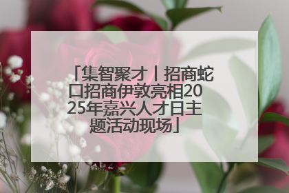 集智聚才丨招商蛇口招商伊敦亮相2025年嘉兴人才日主题活动现场