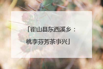 霍山县东西溪乡：桃李芬芳茶事兴