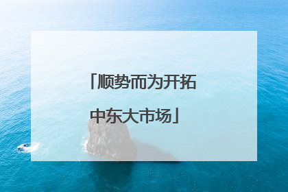 顺势而为开拓中东大市场