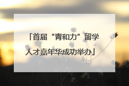 首届“青和力”留学人才嘉年华成功举办