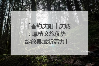 香约庆阳丨庆城：厚植文旅优势 绽放县域新活力