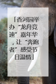 香河园举办“龙舟竞速”嘉年华，让“奔跑者”感受节日温情