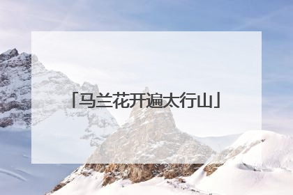 马兰花开遍太行山