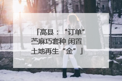 高县：“订单”苎麻巧套种 闲置土地再生“金”