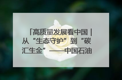 高质量发展看中国｜从“生态守护”到“碳汇生金”——中国石油大庆油田绿色蝶变