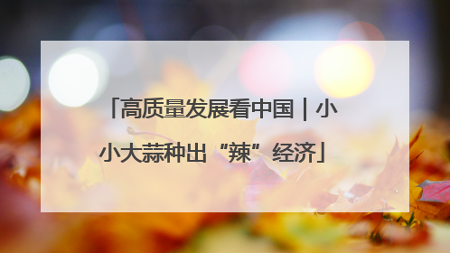 高质量发展看中国｜小小大蒜种出“辣”经济