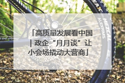 高质量发展看中国｜政企“月月谈”让小会场撬动大营商