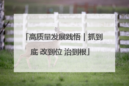 高质量发展践悟｜抓到底 改到位 治到根