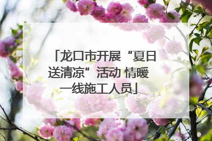 龙口市开展“夏日送清凉”活动 情暖一线施工人员