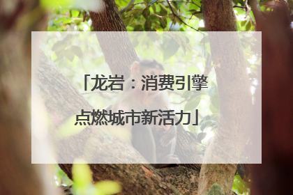 龙岩：消费引擎点燃城市新活力