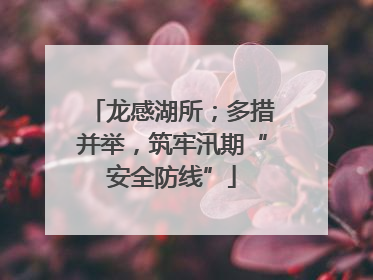 龙感湖所；多措并举，筑牢汛期“安全防线”