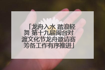 龙舟入水 踏浪轻舞 第十九届闽台对渡文化节龙舟邀请赛筹备工作有序推进