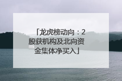龙虎榜动向：2股获机构及北向资金集体净买入