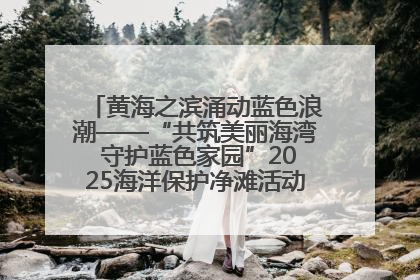 黄海之滨涌动蓝色浪潮——“共筑美丽海湾 守护蓝色家园”2025海洋保护净滩活动暨“美丽江苏—江河湖海青蓝行”海洋篇在连云港举行