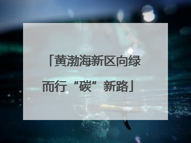 黄渤海新区向绿而行“碳”新路