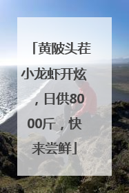 黄陂头茬小龙虾开炫，日供8000斤，快来尝鲜