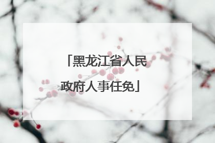 黑龙江省人民政府人事任免