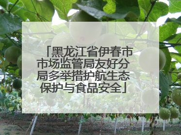 黑龙江省伊春市市场监管局友好分局多举措护航生态保护与食品安全