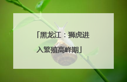 黑龙江：狮虎进入繁殖高峰期