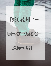 黔东南州“三项行动”优化招投标环境