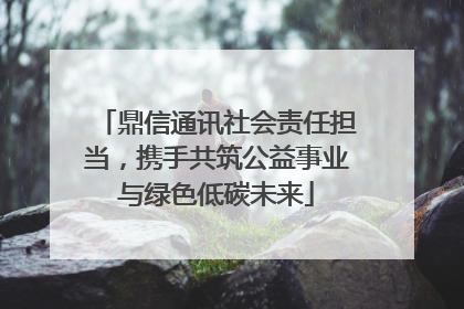 鼎信通讯社会责任担当，携手共筑公益事业与绿色低碳未来