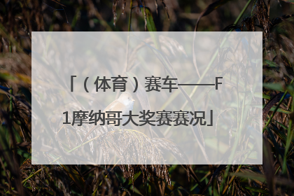 （体育）赛车——F1摩纳哥大奖赛赛况