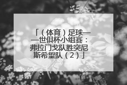 （体育）足球——世俱杯小组赛：弗拉门戈队胜突尼斯希望队（2）