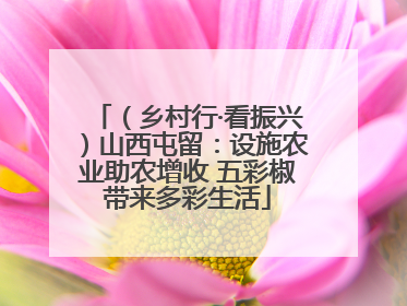 （乡村行·看振兴）山西屯留：设施农业助农增收 五彩椒带来多彩生活