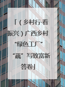 （乡村行·看振兴）广西乡村“绿色工厂” “蔬”写致富新答卷