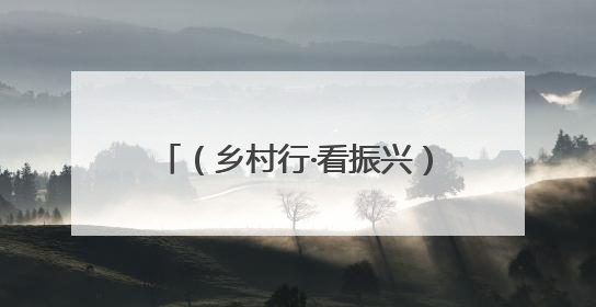 （乡村行·看振兴）探访“中国荔枝之乡”广西灵山：科技“鲜”行 实“荔”C位