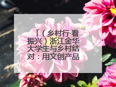 （乡村行·看振兴）浙江金华大学生与乡村结对：用文创产品赋能乡村振兴