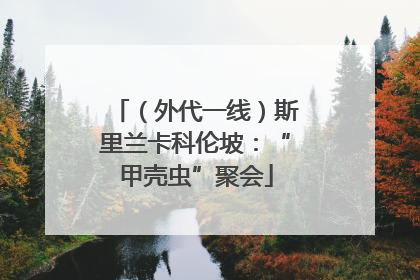（外代一线）斯里兰卡科伦坡：“甲壳虫”聚会