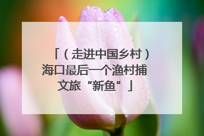 （走进中国乡村）海口最后一个渔村捕文旅“新鱼”