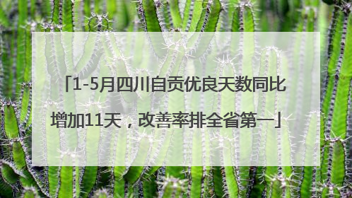 1-5月四川自贡优良天数同比增加11天，改善率排全省第一