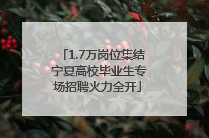 1.7万岗位集结 宁夏高校毕业生专场招聘火力全开