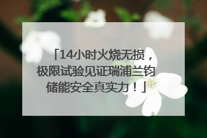14小时火烧无损，极限试验见证瑞浦兰钧储能安全真实力！
