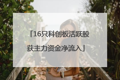 16只科创板活跃股获主力资金净流入