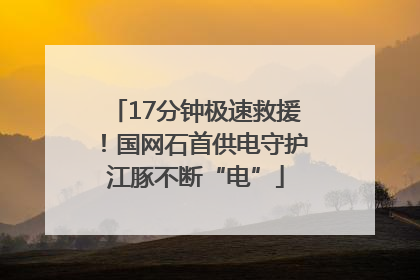 17分钟极速救援！国网石首供电守护江豚不断“电”