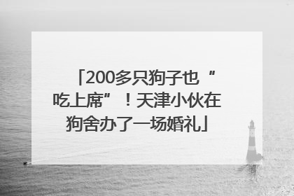 200多只狗子也“吃上席”！天津小伙在狗舍办了一场婚礼