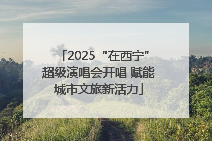 2025“在西宁”超级演唱会开唱 赋能城市文旅新活力