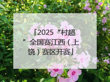 2025“村超”全国赛江西（上饶）赛区开赛