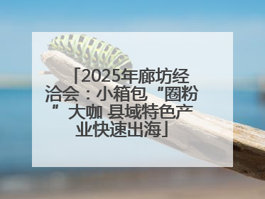 2025年廊坊经洽会：小箱包“圈粉”大咖 县域特色产业快速出海